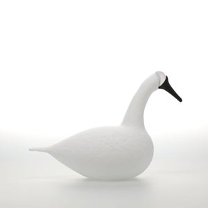 Birds Whooper Swan ホワイト 9321