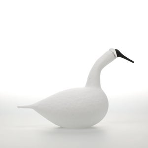 Birds Whooper Swan ホワイト 9327