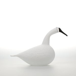 Birds Whooper Swan ホワイト 9331