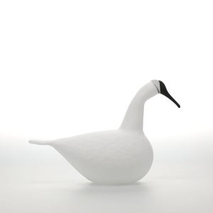 Birds Whooper Swan ホワイト 9335