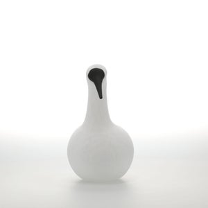 Birds Whooper Swan ホワイト 9332