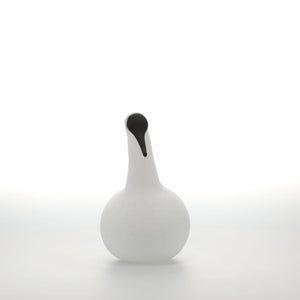 Birds Whooper Swan ホワイト 9335