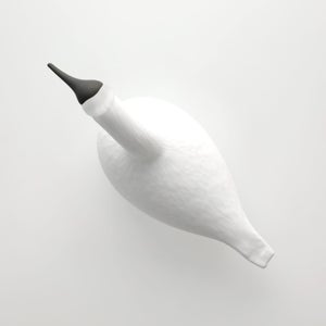 Birds Whooper Swan ホワイト 9260