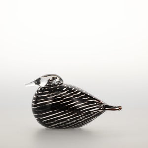 Birds Whip-Poor-Will 0384