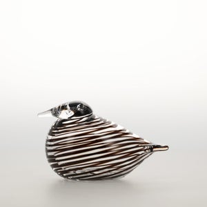 Birds Whip-Poor-Will 0385