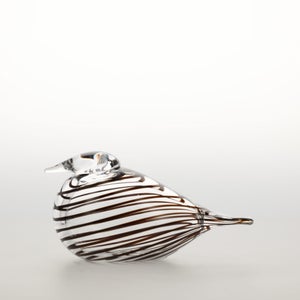 Birds Whip-Poor-Will 0387