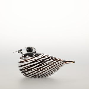 Birds Whip-Poor-Will 0388