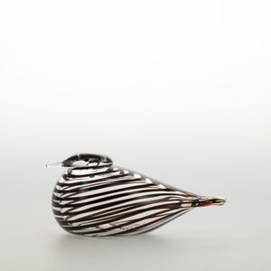 Birds Whip-Poor-Will 0389