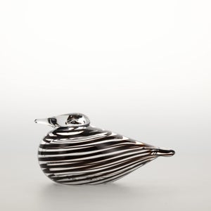 Birds Whip-Poor-Will 0391