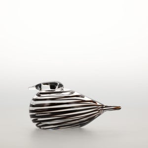 Birds Whip-Poor-Will 0392