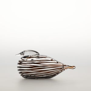 Birds Whip-Poor-Will 0395