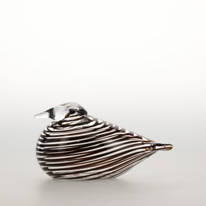 Birds Whip-Poor-Will 0396