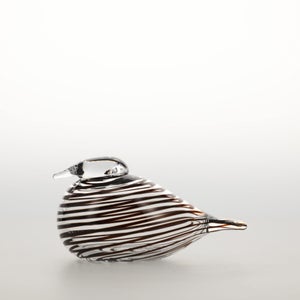 Birds Whip-Poor-Will 0397
