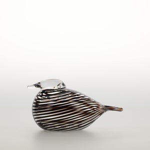 Birds Whip-Poor-Will 0399