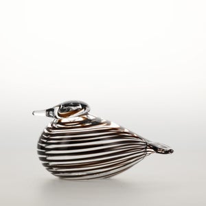 Birds Whip-Poor-Will 0400