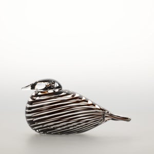 Birds Whip-Poor-Will 0401