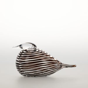 Birds Whip-Poor-Will 0402