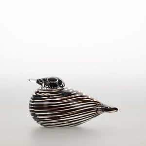 Birds Whip-Poor-Will 0404