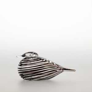 Birds Whip-Poor-Will 0405