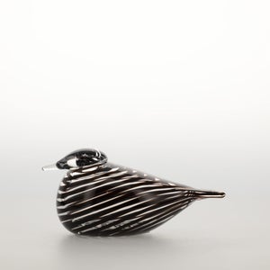 Birds Whip-Poor-Will 0406