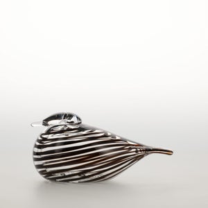 Birds Whip-Poor-Will 0408