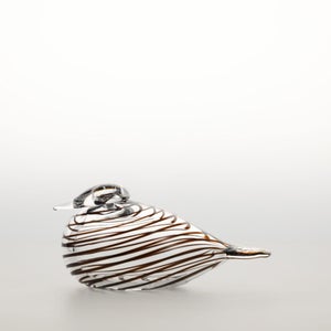 Birds Whip-Poor-Will 0409
