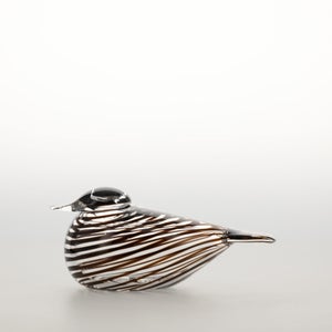 Birds Whip-Poor-Will 0410