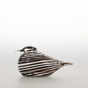 Birds Whip-Poor-Will 0411