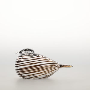 Birds Whip-Poor-Will 0412