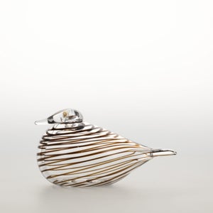 Birds Whip-Poor-Will 0413