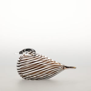 Birds Whip-Poor-Will 0416