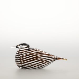 Birds Whip-Poor-Will 0419