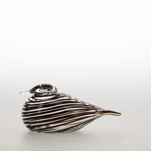 Birds Whip-Poor-Will 0420