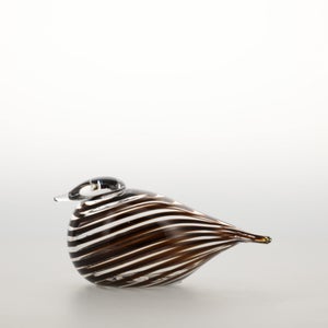 Birds Whip-Poor-Will 0421