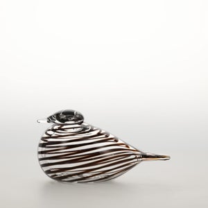 Birds Whip-Poor-Will 0422