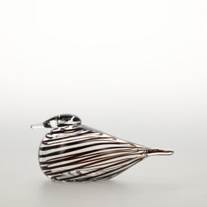 Birds Whip-Poor-Will 0423