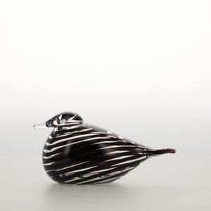 Birds Whip-Poor-Will 0425