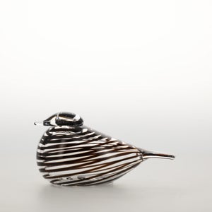 Birds Whip-Poor-Will 0426