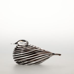 Birds Whip-Poor-Will 0429