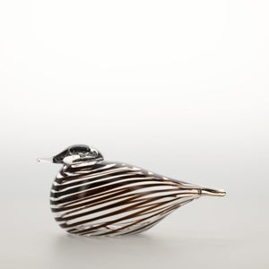 Birds Whip-Poor-Will 0430