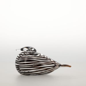 Birds Whip-Poor-Will 0432