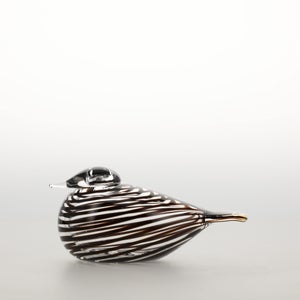 Birds Whip-Poor-Will 0433