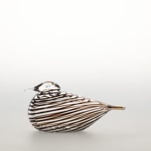 Birds Whip-Poor-Will 0435