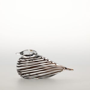 Birds Whip-Poor-Will 0436