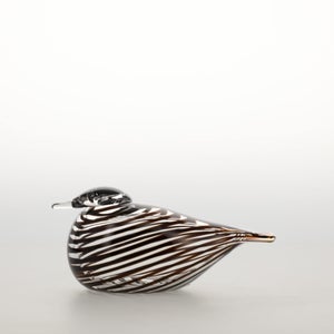 Birds Whip-Poor-Will 0437