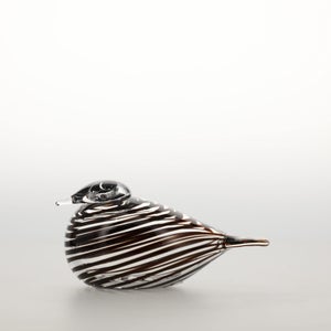 Birds Whip-Poor-Will 0439