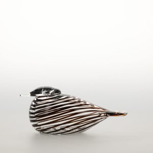 Birds Whip-Poor-Will 0440