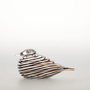 Birds Whip-Poor-Will 0441