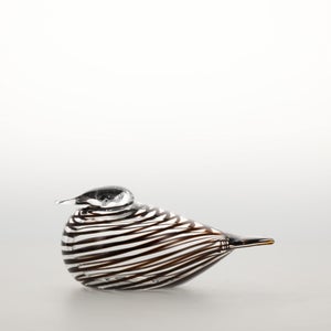 Birds Whip-Poor-Will 0443