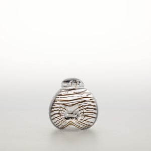 Birds Whip-Poor-Will 0390